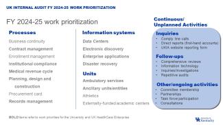 work plan for FY 2024-25, detailing the processes, information systems and units to be prioritized.