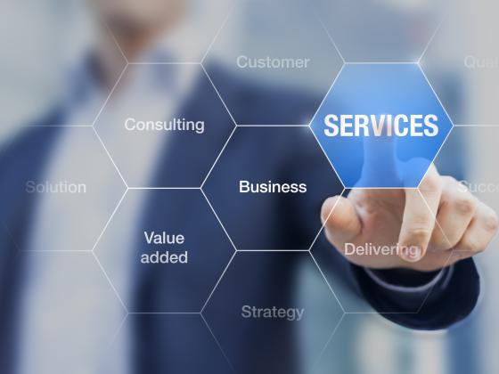 Audit Services