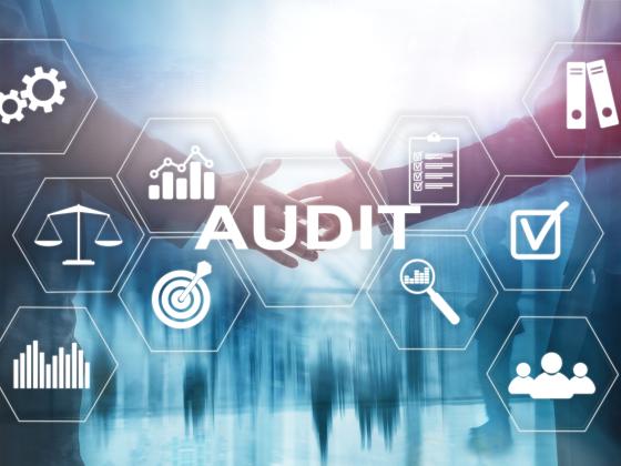 Audit services